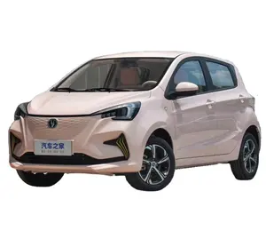 2022 Cheap New Energy Vehicles Changan Benben E-star Ev Car Benben 310km E-star High Speed Cheapest Mini Electric Car