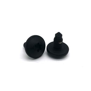 De Seguridad <span class=keywords><strong>pan</strong></span> tornillos de <span class=keywords><strong>cabeza</strong></span> torx <span class=keywords><strong>cabeza</strong></span> M6 tornillo <span class=keywords><strong>autorroscante</strong></span> - Product Image 5