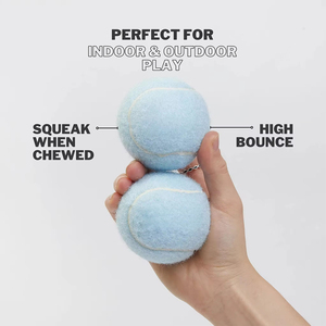 宠物供应商定制标志环保扔狗咀嚼玩具批发橡胶宠物网球互动狗玩具球 - Product Image 4