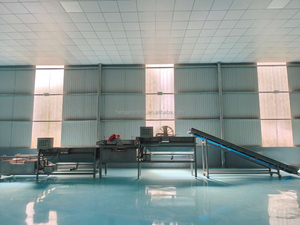 Trái Cây Rau Cam Chanh Dâu Tây Nho Cherry Cà Chua Xoài Bột Giấy Máy Chế Biến - Product Image 5