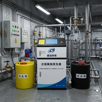 Générateur d'hypochlorite de sodium DeYuan avec pompe PLC, production de 100 L/heure, fonctionnement stable, dispositif de désinfection pour usage industriel