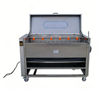 Industriële borstelrolwasmachine, aardappelwas- en schilmachine voor wortelgewassen, gember, voedselverwerkingsfabriek