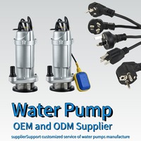 QDX Tauchpumpe für sauberes Wasser, Hochleistungs-Kleinwasserpumpe mit Schwimmerschalter, automatischer Start/Stopp, OEM