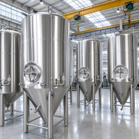 Cuve de fermentation en acier inoxydable Tonsen 2000L, unité de fermentation 20HL pour microbrasserie