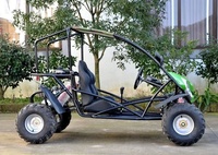 2020 EGS pas cher 125cc/800cc buggy/dune buggy/buggy 4x4 pour adultes passer le certificat CE chaud en vente