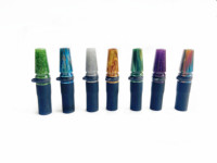 Embouts de chicha portables en résine givrée pour narguilé, embouts de chicha, accessoires de chicha, boîte cadeau pour fumeurs, motif