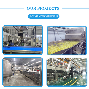 Giá máy sản xuất khoai tây chiên đông lạnh công nghiệp tự động hoàn toàn, máy làm khoai tây chiên dạng que từ củ sắn tươi - Product Image 4