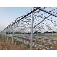 Projets clés en main culture hydroponique de tomates invernadero serre verte à vendre