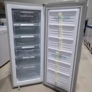 200L 24V DC 그린 에너지 냉각 아이스크림 디지털 컨트롤러 오프 그리드 냉장고 태양열 직립 냉동고