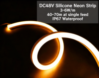 Bande LED néon longue de 40m-70m, étanche IP67, en silicone, 48V DC, pour extérieur, intérieur, bar, cinéma, bâtiment, hôtel