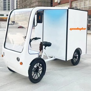Nouveau design <span class=keywords><strong>vélo</strong></span> <span class=keywords><strong>cargo</strong></span> <span class=keywords><strong>électrique</strong></span> à quatre roues 48v 750w à <span class=keywords><strong>assistance</strong></span> par pédale pour la livraison de nourriture - Product Image 6