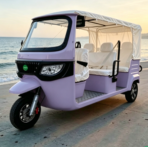 รถสามล้อไฟฟ้า 6 ที่นั่งสุดหรู ได้รับการรับรองมาตรฐาน EEC COC สำหรับการขนส่งวีไอพีในเมือง - Product Image 2