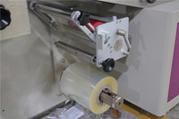 Machine d'emballage horizontale automatique de serviettes hygiéniques pour femmes 1-3 pièces