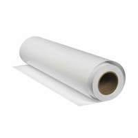 Rouleau de film PVC rétroéclairé brillant pour impression jet d'encre éco-solvant, 300 g/m², 200 microns, durable, EachSign ES-SBF300, sortie d'usine