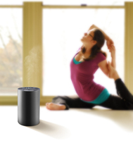 Nébuliseur d'huile essentielle de plante sans fil 100% diffuseur d'arôme rechargeable par usb d'aromathérapie portable