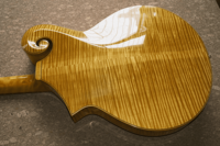 Guitare Jazz Archtop Électrique Faite à la Main Yunzhi, Corps Creux en Érable et Touche en Ébène, Micros H-H Professionnels, Personnalisable