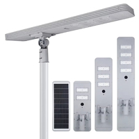 Lampadaire Solaire Tout-en-un 100W en Aluminium Moulé Sous Pression IP65 WP avec Panneau Mono et Batterie LiFePO4 pour Routes Rurales, Cours et Parkings