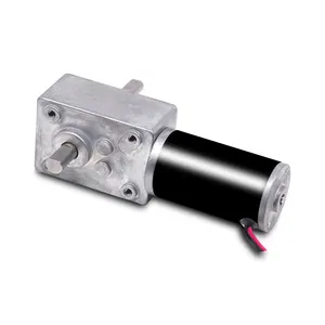 China Supplier Xinhui Mini Small 6v 12v 24v Brushless Brushed 5840WG3157 Micro Electric DC Motor With Worm Gear Box
