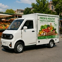 Camionnette électrique mini-cargo à 4 roues, véhicule utilitaire électrique pour livraison, capacité de charge de 500 kg, vitesse maximale de 85 km/h, idéal pour les entreprises de café, fleurs, barbecue et street food.