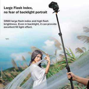 NOUVEAU Flash <span class=keywords><strong>Godox</strong></span> <span class=keywords><strong>TT600</strong></span> professionnel TTL sans fil 2.4G 1/8000s universel pour appareil photo, en stock - Product Image 5