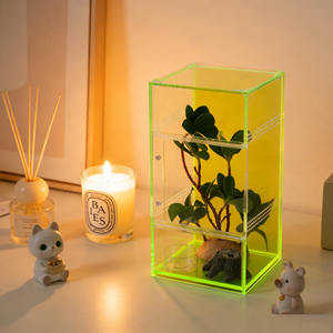 Maceta Grande de Acrílico Geométrica para Plantas de Interior, Suculentas, Musgo y Plantas Aéreas, Decoración para Mesa - Product Image 2
