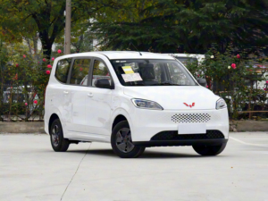 Wuling Hongguang Véhicule utilitaire commercial MPV direct usine avec autonomie WLTC de 30 km, type de carburant hybride, véhicules à énergie nouvelle, dépôt - Product Image 5