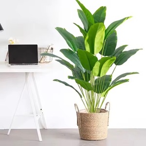 Feuillage artificiel réaliste transfrontalier le plus vendu : Feuilles de bananier et palmier du <span class=keywords><strong>voyageur</strong></span> en plastique avec support en fer pour décoration intérieure et mariage - Product Image 5