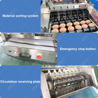 Machine automatique HNOC pour le conditionnement et le tri des œufs en pulpe de papier, machine de tri et d'emballage des œufs de poule