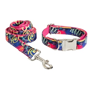 RTS, gran oferta, bonito conjunto de Collar y correa para perro, Material de nailon, hebilla de Metal ligera, pajarita, conjunto de Collar y correa para perro mascota - Product Image 4