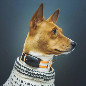 Rastreador de <span class=keywords><strong>collar</strong></span> para perro jps ev201 <span class=keywords><strong>gps</strong></span> - Product Image 4