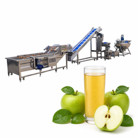 Automatische complete fruit sapverwerkingsinstallatie, machine voor drankenafvulling, productielijn rechtstreeks van de fabrikant