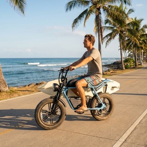 Vélo électrique à cadre en acier inoxydable avec <span class=keywords><strong>pneus</strong></span> larges 20x4.0, vélo de croisière côtier pour le transport estival des surfeurs sur la plage - Product Image 3