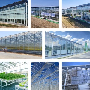 Serre horticole commerciale multi-chapelles en verre, structure en acier galvanisé à chaud, verre trempé, <span class=keywords><strong>isolation</strong></span> hivernale - Product Image 5