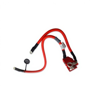Cable de Fusible de Batería 61129322056 para <span class=keywords><strong>BMW</strong></span> <span class=keywords><strong>X5</strong></span> F15 X6 F16 2013-2019 <span class=keywords><strong>XDrive25d</strong></span> XDrive28i XDrive35i XDrive30d XDrive50i M50d M X6 M - Product Image 2