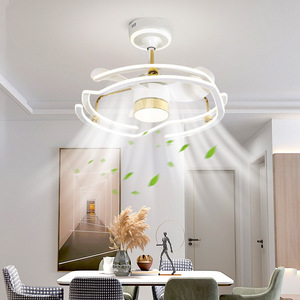 LED Ceiling Fan <b>Light</b> Fixed Blade Flush Mount 5-Year Warranty Living Room Bedroom Modern Minimalist Design - Product Image 1