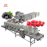 Gelgoog Reinigingsapparatuur voor vers fruit en groenten, fruit- en groentenrollerborstel reinigingsmachine
