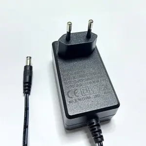 Ac Dc 6W-65W 96W 100W güç kaynağı 3v 5v 9v 3v 12v 15v 19v 24v 48v 1a 2a 3a 4a 6a 8a 10a anahtarlama fişi adaptör