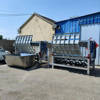 Vente chaude : Équipement d'épilation pour porcs et moutons en acier inoxydable – Machine à retirer les poils des pattes de mouton et échaudoir à porcs