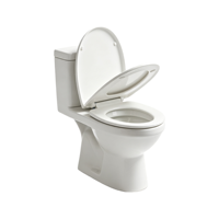 Cuvette de toilettes monobloc à chasse siphonique moderne, en céramique à motif marbre gris et blanc, de la gamme d'articles sanitaires chinois