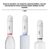 Hydropulseur Électrique Portable Personnalisable en ABS pour Animaux de Compagnie, Gadget Transfrontalier à Activation/Arrêt en un Clic pour Nettoyer la Bouche de Votre Chien
