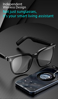 Lunettes de soleil intelligentes Bt-Micro et haut-parleurs intégrés Appels mains libres Assistant vocal sans fil de type C