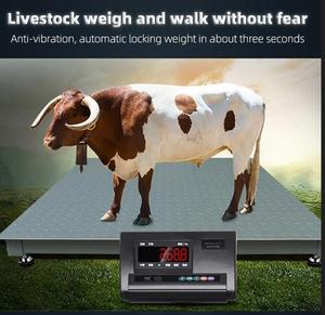 1.5x1.5m 3 Ton Digital Pallet Floor <strong>Scale</strong> with LED/LCD Display Stainless Steel Construction Includes Load Cell - Product Image 6