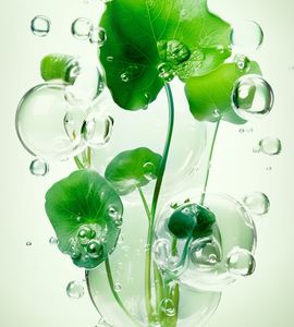 SADOER Set Cura Notturna all'Ortica delle Nevi - <span class=keywords><strong>Kit</strong></span> <span class=keywords><strong>Skincare</strong></span> Idratante e Umettante per Pori Levigati (Vendita all'Ingrosso) - Product Image 6