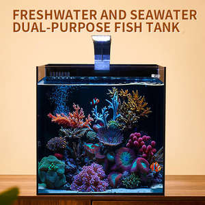 Aquário de Vidro Ultra Transparente para Decoração de Mesa com Design Moderno e Bomba de Água - Product Image 4