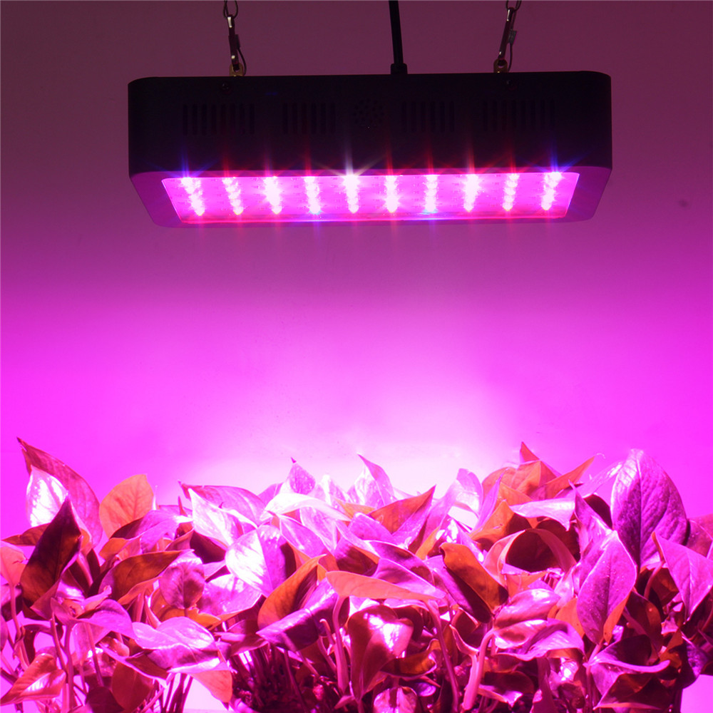 Panda Grow 100pcs Bridgelux 3w Led Board 300w Full Spectrum Led Grow Lights for Greenhouse Indoor Planting