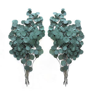 زفاف عيد الميلاد عيد الهالويون زينة مهرجان الخضرة أوراق الشجر بالجملة باقة زهور مجففة أوراق الأوكالبتوس المحفوظة - Product Image 1