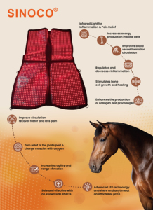 SINOCOレッドライト馬用バックセラピー獣医機器馬赤外線セラピーブランケット競馬馬術ラグヘルスケア - Product Image 6