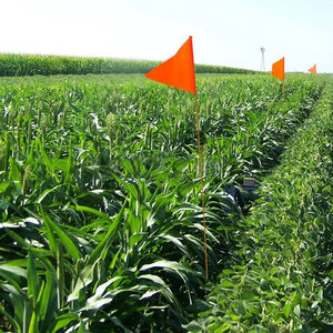 ธงพลาสติกเครื่องหมายเครื่องหมายแบบสำรวจสีส้มสำหรับกลางแจ้งธงเพื่อความปลอดภัยเครื่องหมายเครื่องหมายเพื่อความปลอดภัยสีแดงสีส้มสีแดง - Product Image 6