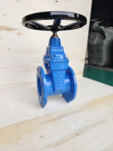Vanne à opercule à siège élastique en fonte ductile Ggg50 DN125 DIN3352 F4 PN10 PN16 PN25 - Product Image 6