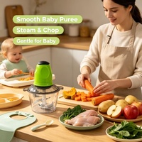Hachoir Électrique Mini pour Aliments, Hachoir à Viande Domestique, Petit Mixeur Électrique pour Fruits, Légumes et Viande